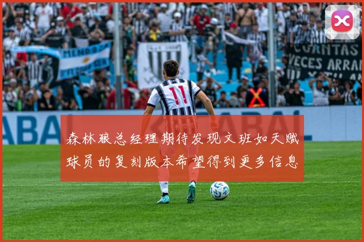 森林狼总经理期待发现文班如天赋球员的复刻版本希望得到更多信息